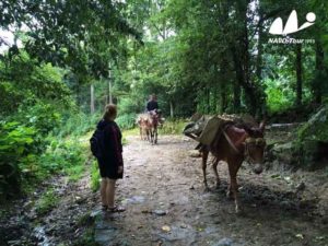 2016 A Girl, Sedan Car, and China Drive Tour