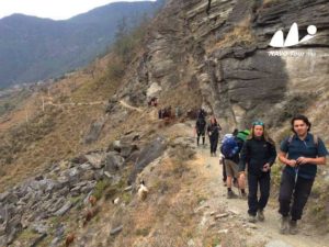 Tiger Leaping Gorge trek