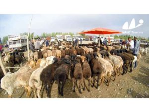 2017 Self Driving Trip Malaysia - China - Europe