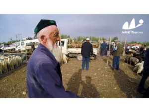 2017 Self Driving Trip Malaysia - China - Europe