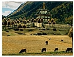 South road of Sichuan-Tibet