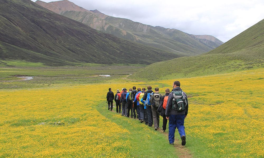 guizhou terrace minority miao dong