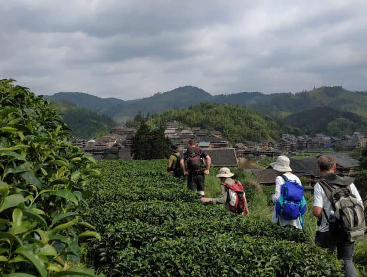 trekking im tiger sprung schlucht yunnan 14tage