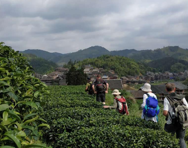 trekking im tiger sprung schlucht yunnan 14tage