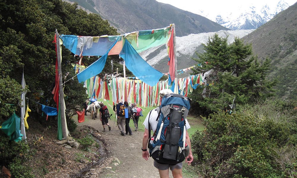 trekking um mt kailash 20tage