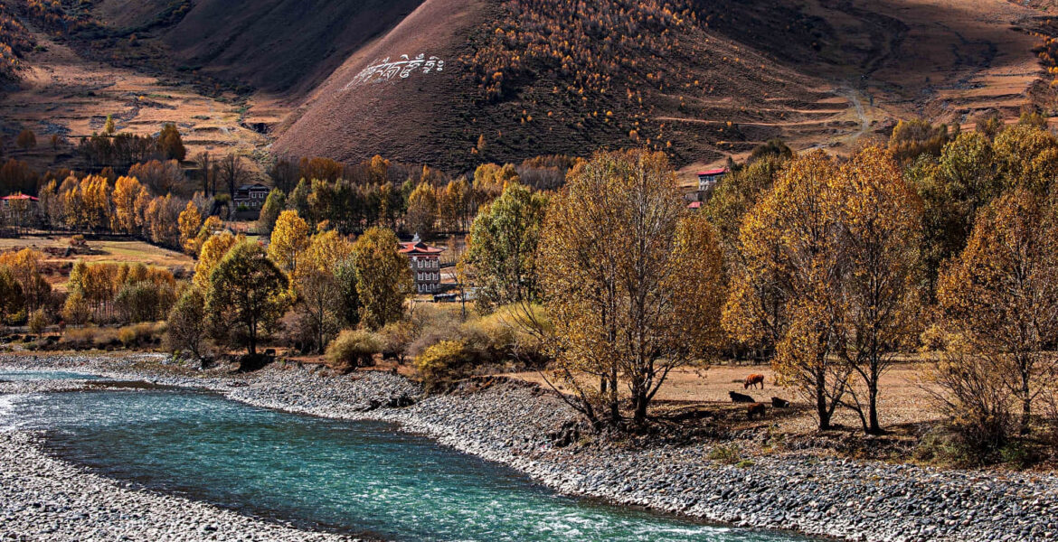 sichuan autumn roadtrip cover