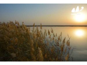 2016 India - Europe via China New Car Testing Tour