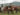 horse racing festival in yushu