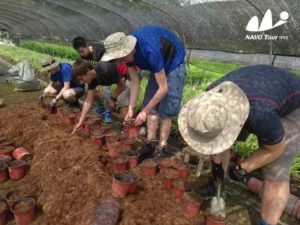 2017 Village Project-protecting river and help local farmer with the eco-agriculture