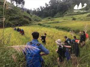 Xishuangbanna ethnic village trek