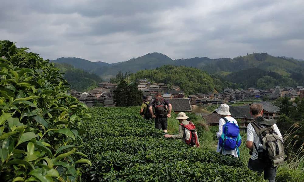 yunnan tiger leaping gorge trek