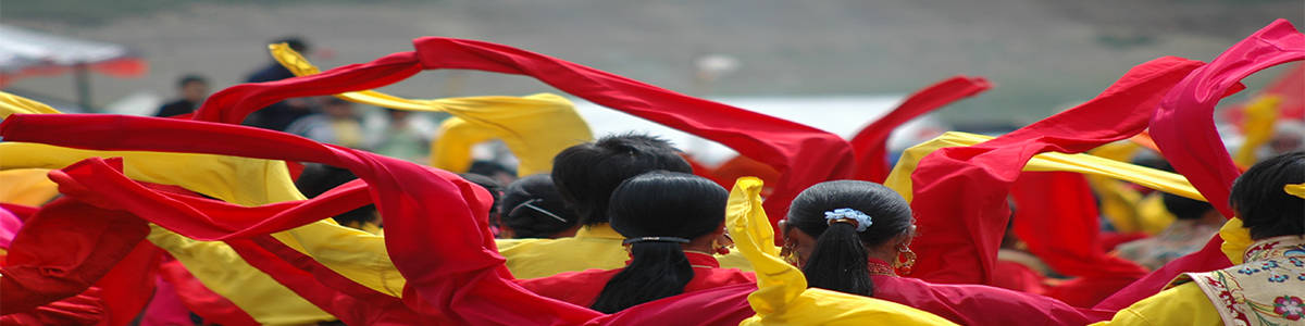 festival tour banner