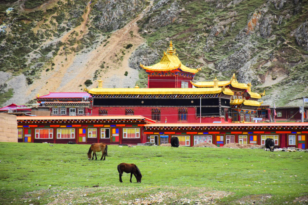 2018 Chinese Rental Vehicle for Sichuan 07