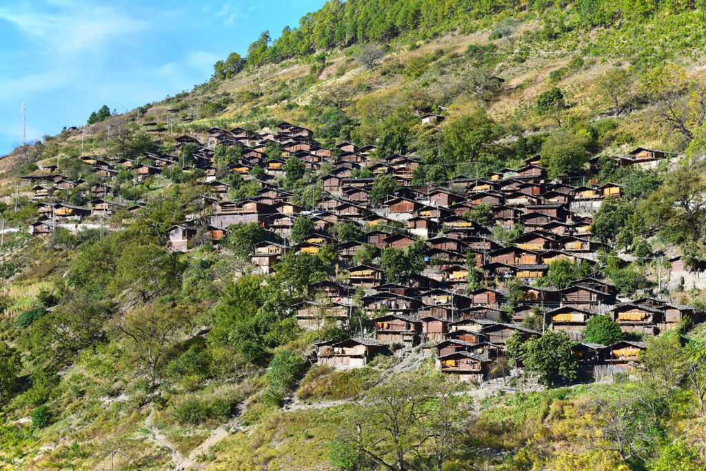 tongle village