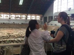 2016 A Girl, Sedan Car, and China Drive Tour