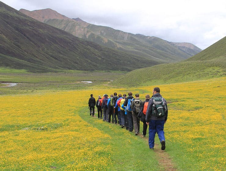 rizieres miao et dong 14j