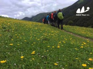 2017 Kham Area Trek Minya Gongga