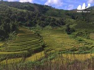 Xishuangbanna ethnic village trek