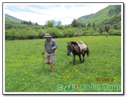 Trek Mt.Yala 2011 UK