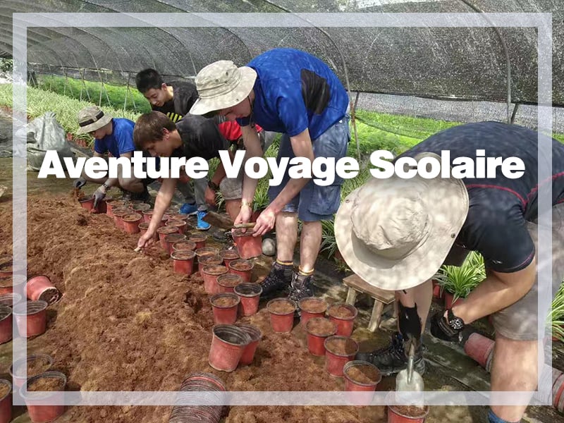 aventure voyage scolaire galerie