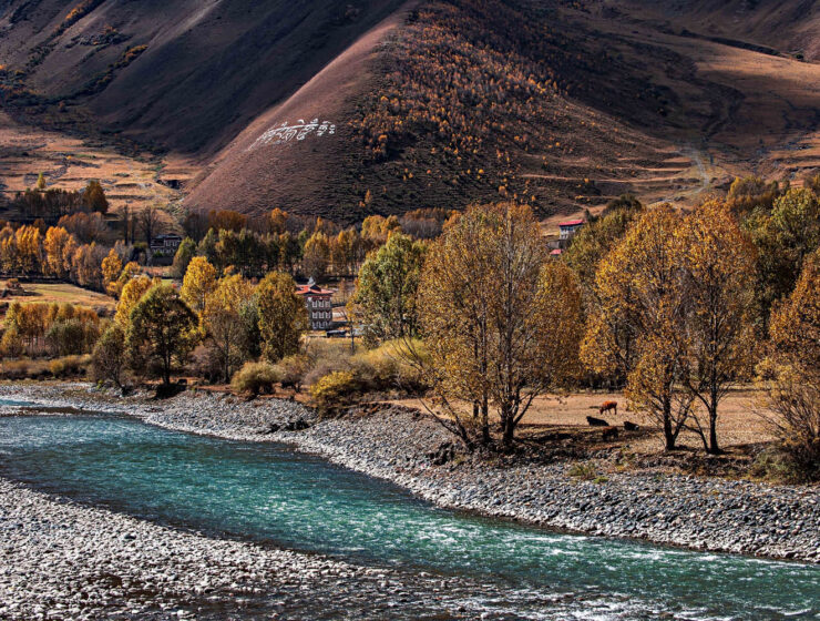 sichuan autumn roadtrip cover