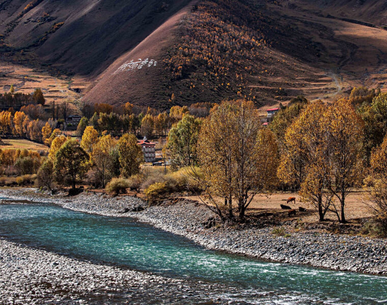 sichuan autumn roadtrip cover