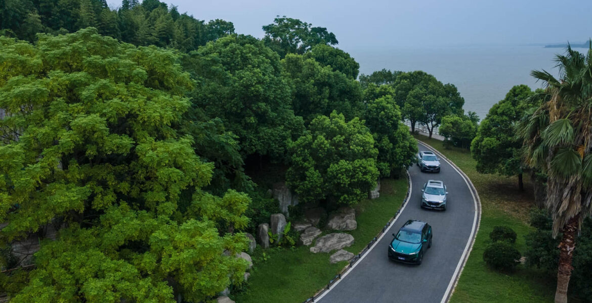 fujian road trip cover